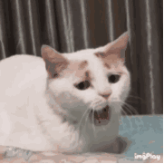 ���˯�������ͼ��ͼ1