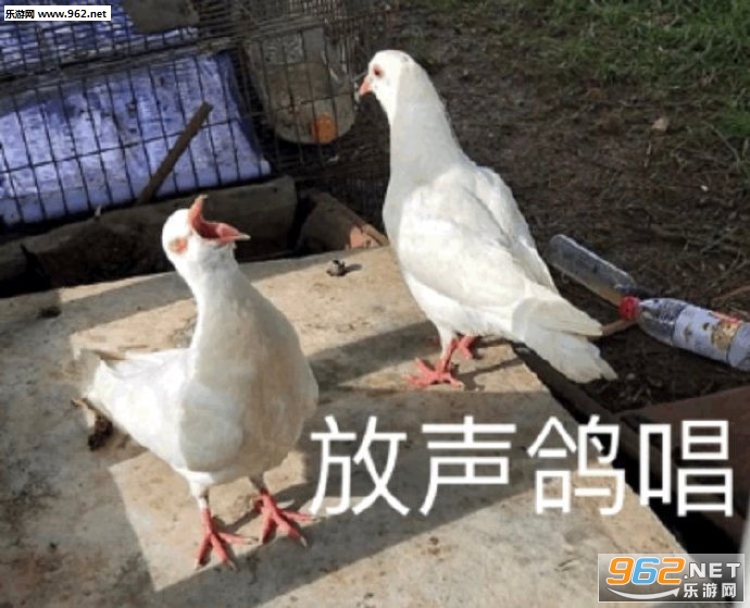 ���Ƶĳ�ȹ���ɵ�ͷ���������ͼ2