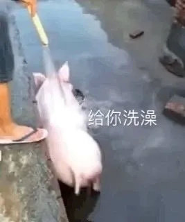 ����ϴ��������ͼ0