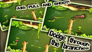 Froggin(饥饿的青蛙红包版)截图1
