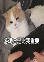 ��Ϸ���Ǳ�����Ҫ�����