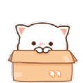 ����С˵APP