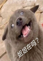 Ӣ�����������
