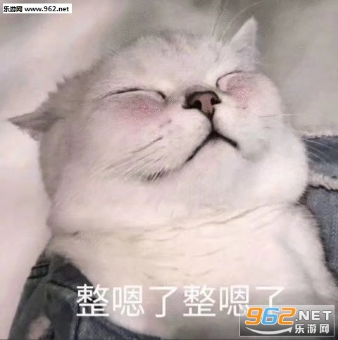 ������������ͼƬ�������ͼ0
