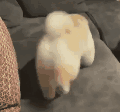 ������������ͼƬ�������ͼ1