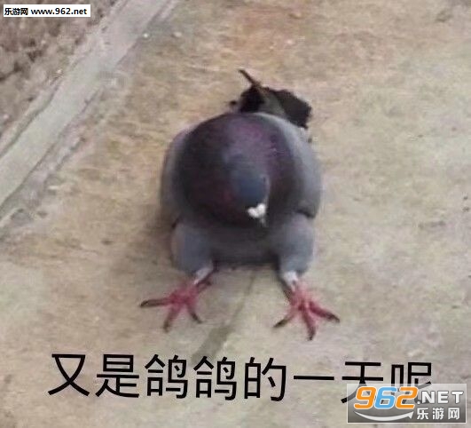 �����������������ѱ����