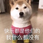 �޼��ѵ�������
