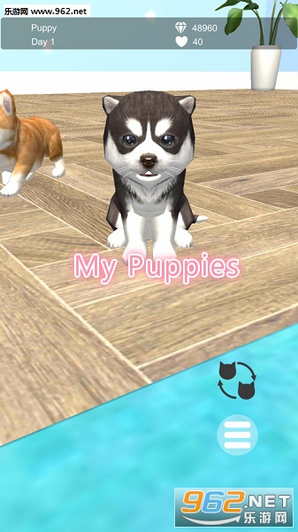 My Puppies��Ϸ