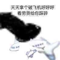 ������С�ɻ������