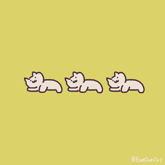 ɳ��è��̬�����