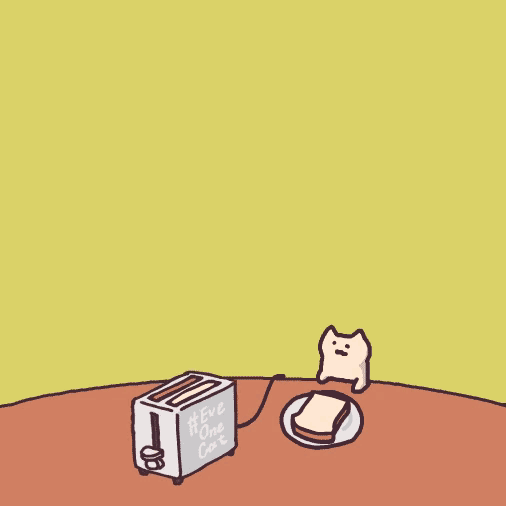 ɳ��è��̬�����