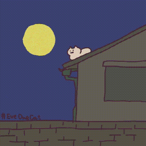 ɳ��è��̬�����