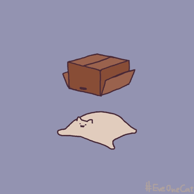 ɳ��è��̬�����