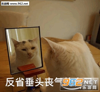 ��ʡ��ͷɥ�����Լ������