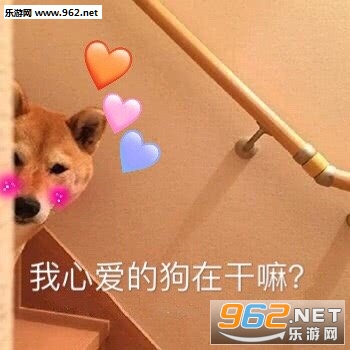 ��ֵ���վ�ҵ��˱����