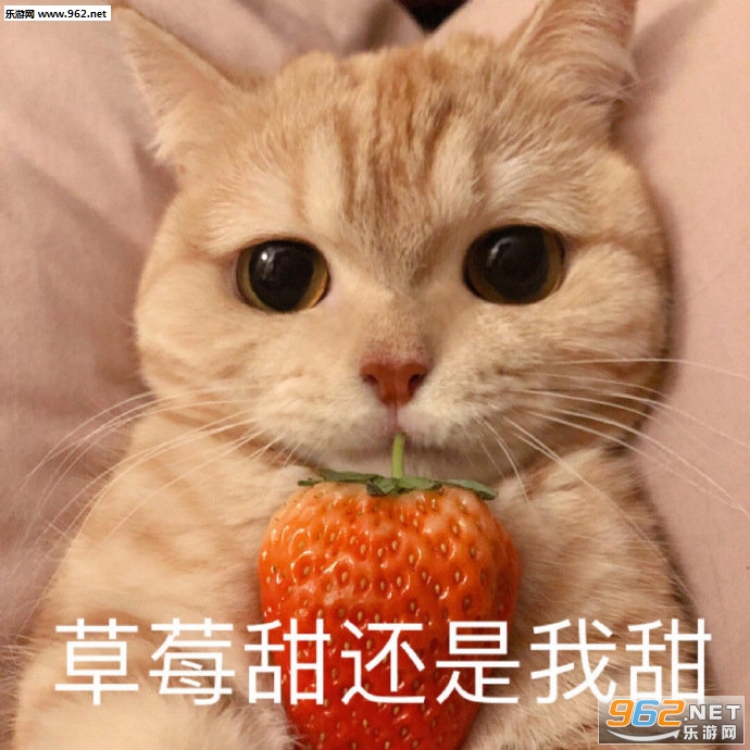 ˯ǰ���ױ����