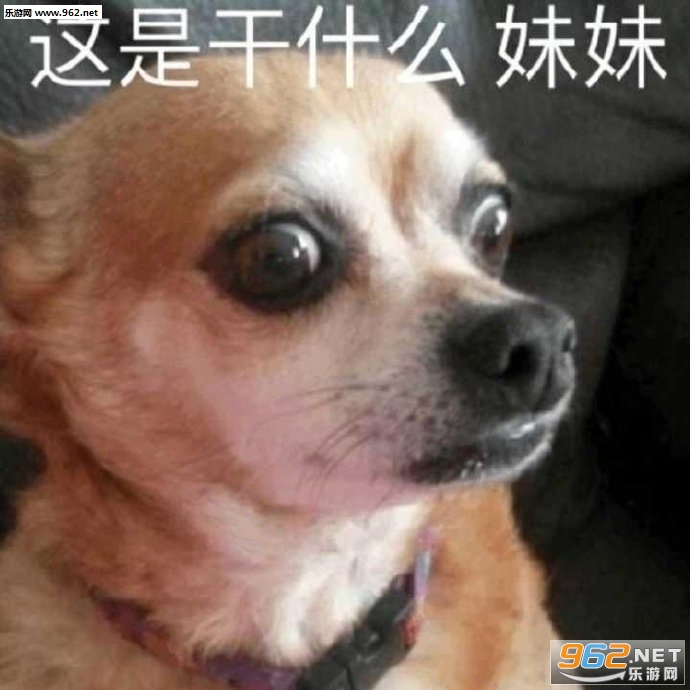 ˯ǰ���ױ����