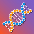 DNA Lab 3D�ٷ���