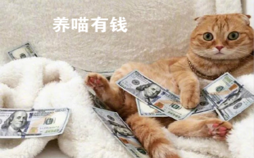 ������Ǯapp_������Ǯ�ֺ�è_������Ǯ����_������