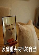 ��ʡ��ͷɥ�����Լ������