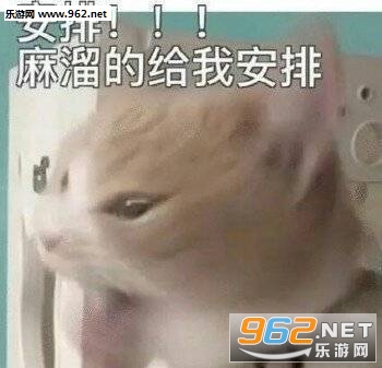 ȫ��������ʧ��ɱ���ر������ͼ3