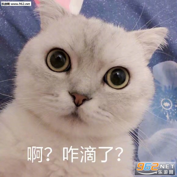 �Ի�����ͼƬ��ͼ2