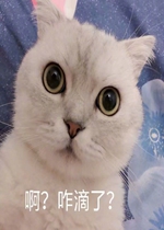 �Ի�����ͼƬ