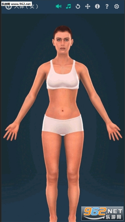 Human body (female)(����ϵͳŮ��3dרҵ���İ�)��ͼ0