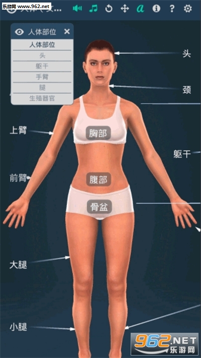 Human body (female)(����ϵͳŮ��3dרҵ���İ�)��ͼ1