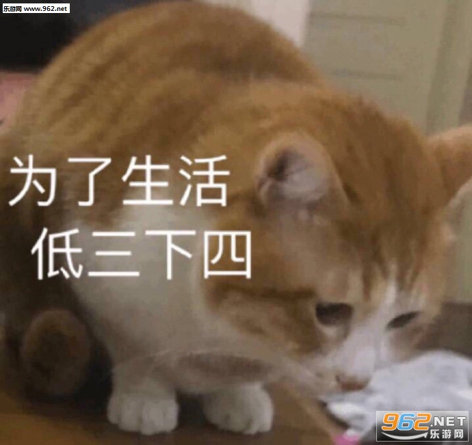 �Ŵ󿴿����ɱ������ͼ1