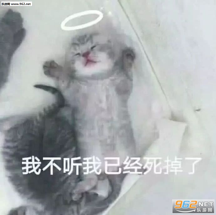 �������ٳ�ɵ������ɵ�ƾ�ɵ�Ʊ����