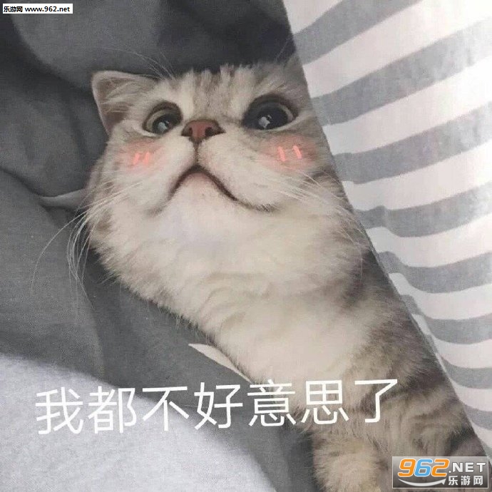 ֻ���Ե��������