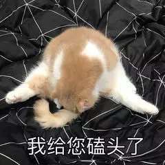 �Ҹ�����ͷ�˱������ͼ4