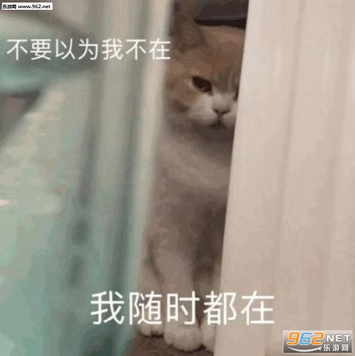 ��ֻ�������ӵ�ͼƬ�������ͼ5