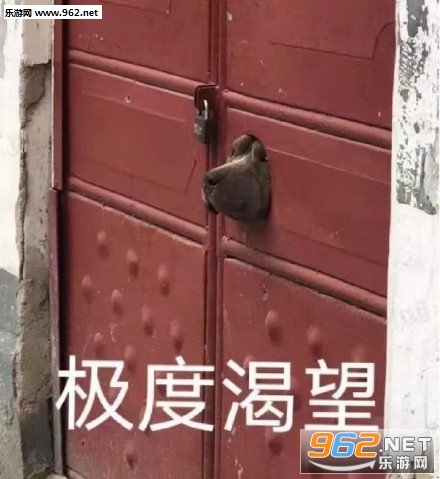 no happy�������ͼ3