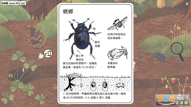 С����ٿ�(С�������Ȼ��̬�ٿ�С��Ϸ)v1.0.6����������ͼ1