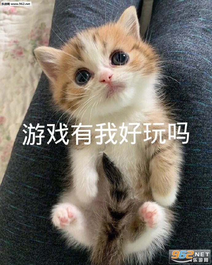 ��Ϸ���Һ�����������ͼ3