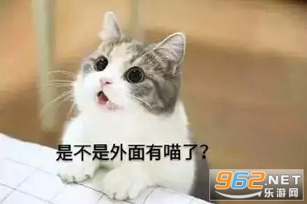 ��ֻСè�ĵϱ����