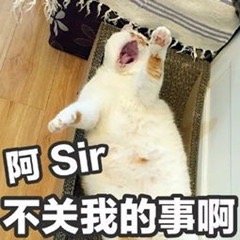 ���ǰɰ�sir�����