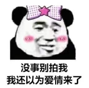 ��������������������Ϲ�������