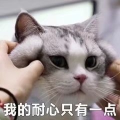 ���ʱ����˻�������