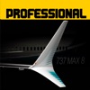 Flight 737 - Maximum LITE�ٷ���