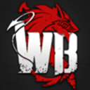 Wild Born CBT(Wild Born��Ϸ)