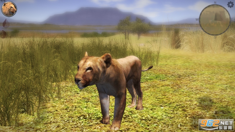 �ռ�ʨ��ģ����2���޼��ܵ����İ��ͼ2