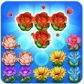 Block Puzzle Blossom(��԰�����ֺ����)