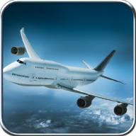 Flight737maximum