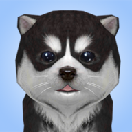 Dog Sim(����ģ������Ϸ)
