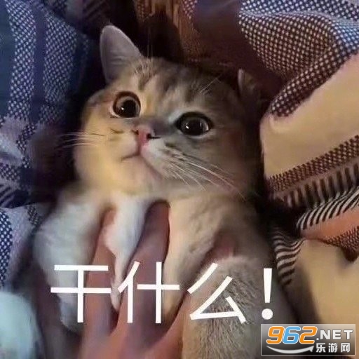 ���ҿ������Ǹ�ɳ��������������ͼ0