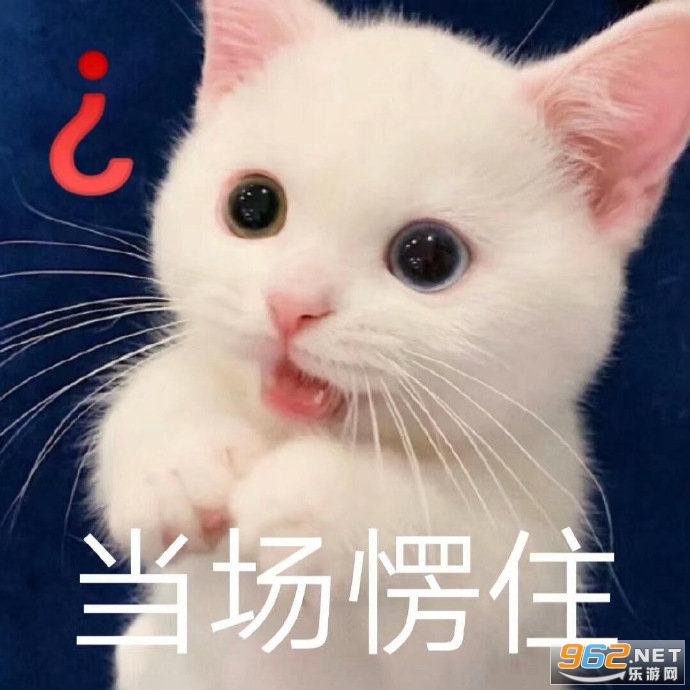 ���ʱ����˻���������ͼ0