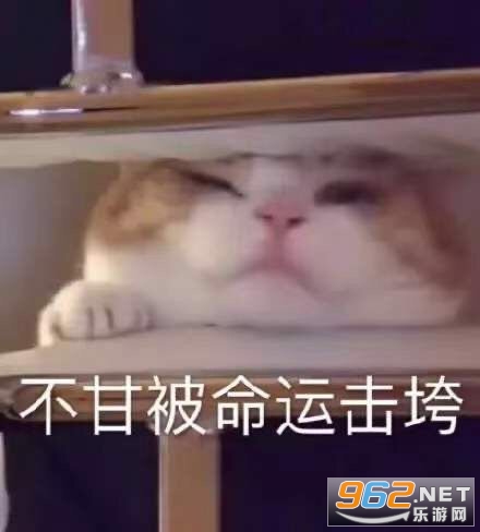 ���ʱ����˻���������ͼ3